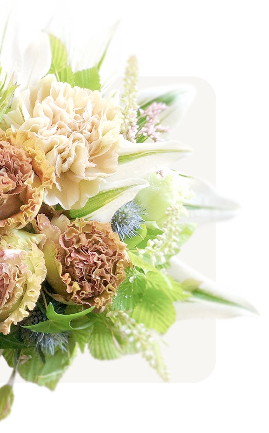 花・太陽・雨の店内